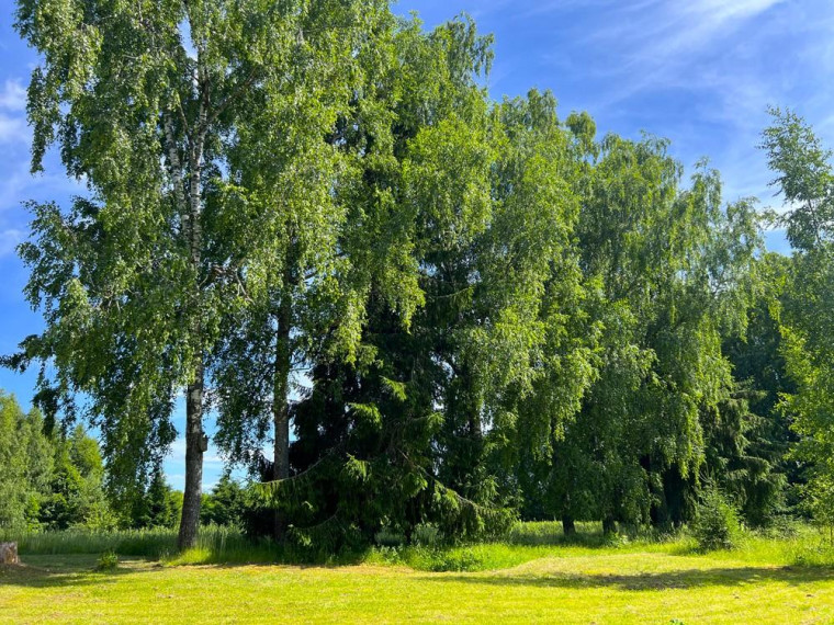 Parduodamas namas Valiulio Kalnelio g., Juodonių k., Rokiškio r. sav., 74.95 m² ploto 3 kambariai 26