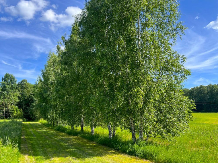 Parduodamas namas Valiulio Kalnelio g., Juodonių k., Rokiškio r. sav., 74.95 m² ploto 3 kambariai 27