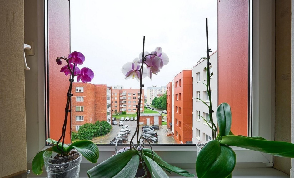 Parduodamas butas Klaipėdos apskritis, Klaipėda, Nidos g., 55 m2 ploto, 2 kambariai 9