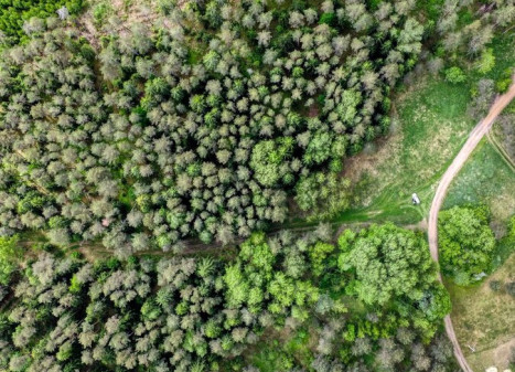 Parduodamas sklypas Žvėryno k., Trakų r. sav., 160 a ploto Parduodamas sklypas Žvėryno k., Trakų r. sav., 160 a ploto