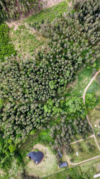 Parduodamas  sklypas Žvėryno k., Trakų r. sav., 160 a ploto 1