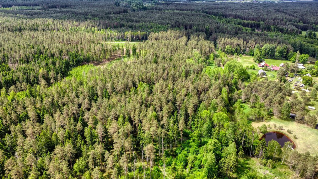 Parduodamas  sklypas Žvėryno k., Trakų r. sav., 160 a ploto 4