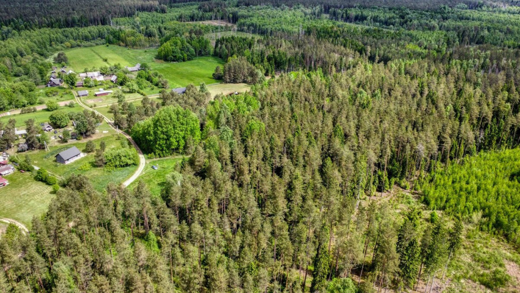 Parduodamas  sklypas Žvėryno k., Trakų r. sav., 160 a ploto 6