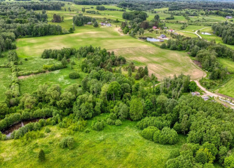 Parduodamas  sklypas Minkelių k., Vilniaus r. sav., 41 a ploto