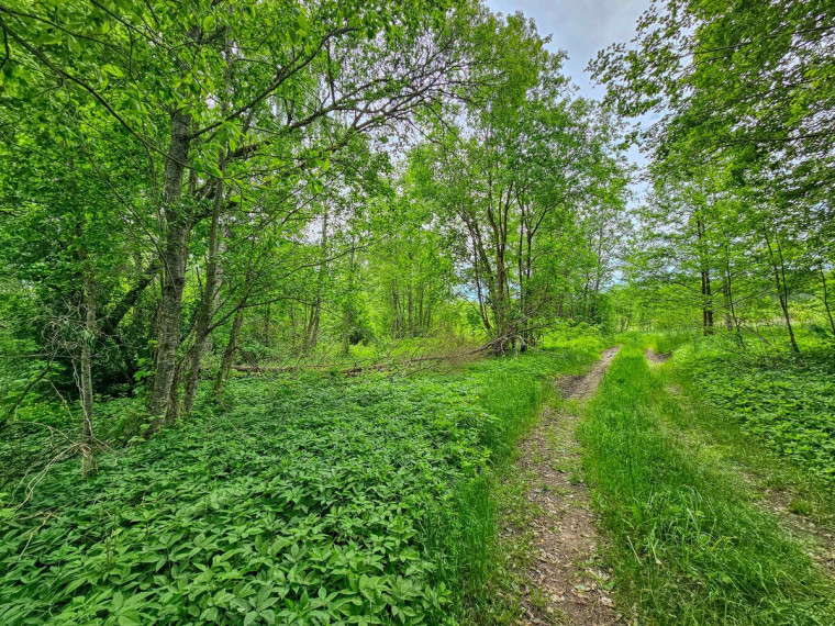 Parduodamas  sklypas Minkelių k., Vilniaus r. sav., 41 a ploto 4