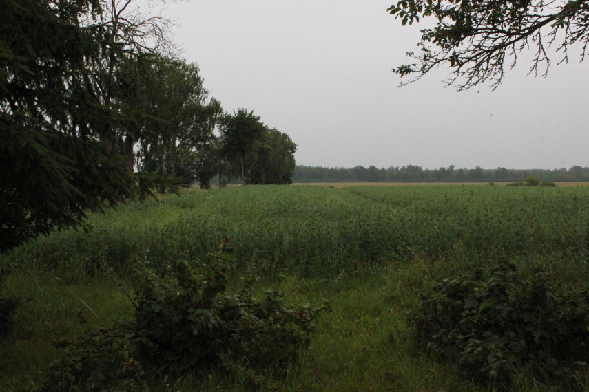 Parduodamas butas Dvaro g., Beinoravos k., Radviliškio r. sav., 78 m² ploto 4 kambariai 22
