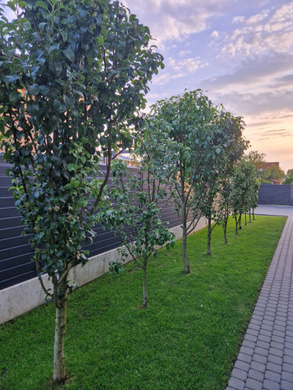 Parduodamas namas Teleičių k., Kauno r. sav., 132.00 m² ploto 4 kambariai 40