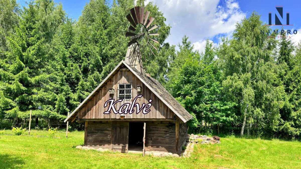 Rokiškio raj., Pakriaunio k., parduodama didelė sodyba su tvenkiniu, šilauogių ir smidrų ūkiu 24