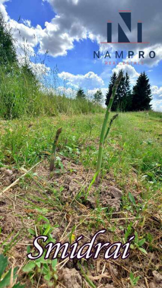 Rokiškio raj., Pakriaunio k., parduodama didelė sodyba su tvenkiniu, šilauogių ir smidrų ūkiu 31