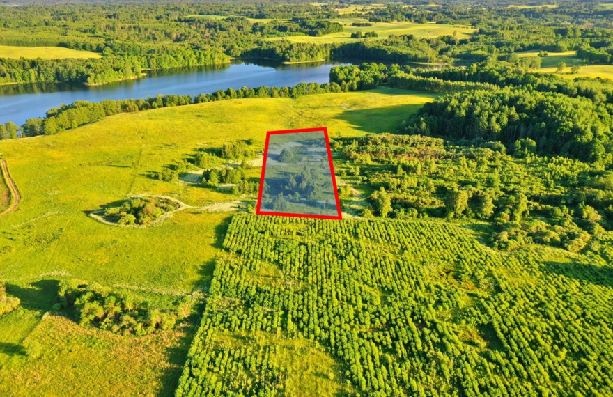 Parduodamas  sklypas Sniegiškių k., Zarasų r. sav., 122 a ploto 16