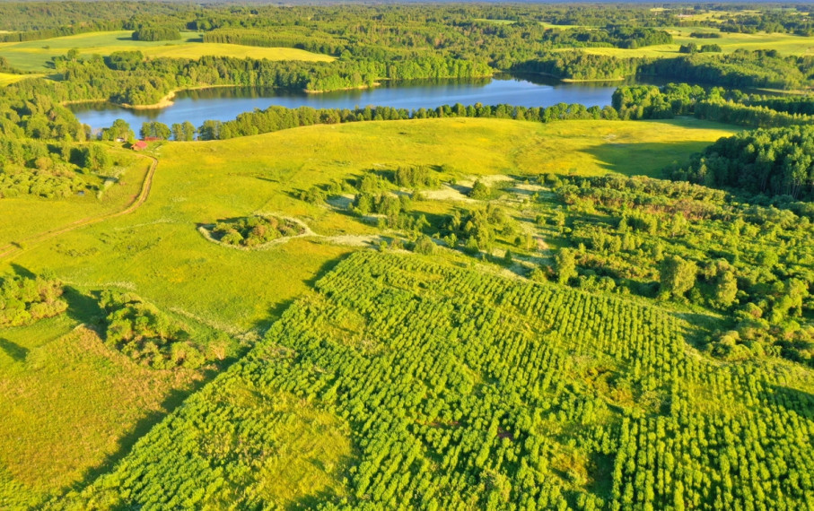 Parduodamas  sklypas Sniegiškių k., Zarasų r. sav., 122 a ploto 18