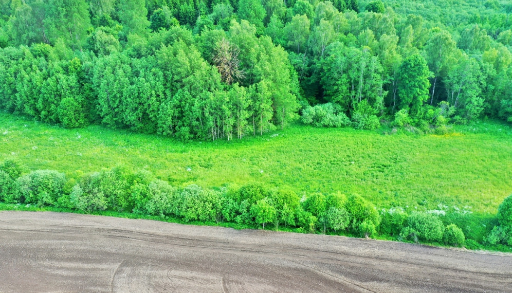 Parduodamas  sklypas Degučių k., Utenos r. sav., 340 a ploto 7