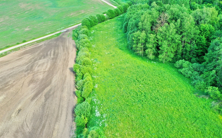 Parduodamas  sklypas Degučių k., Utenos r. sav., 340 a ploto 10