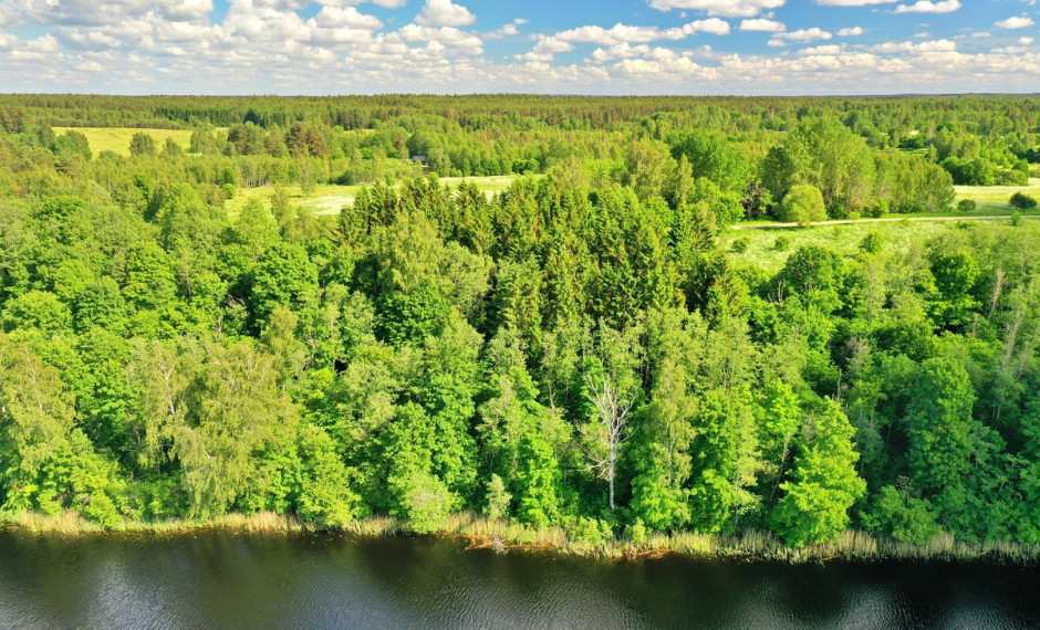 Parduodamas  sklypas Brinkliškių k., Utenos r. sav., 165 a ploto 17