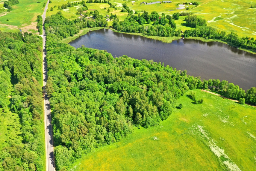Parduodamas  sklypas Drobiškio k., Utenos r. sav., 341 a ploto 5