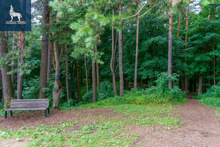 Parduodamas butas Viršuliškių g., Viršuliškės, Vilniaus m., Vilniaus m. sav., 64.12 m2 ploto, 3 kambariai 41