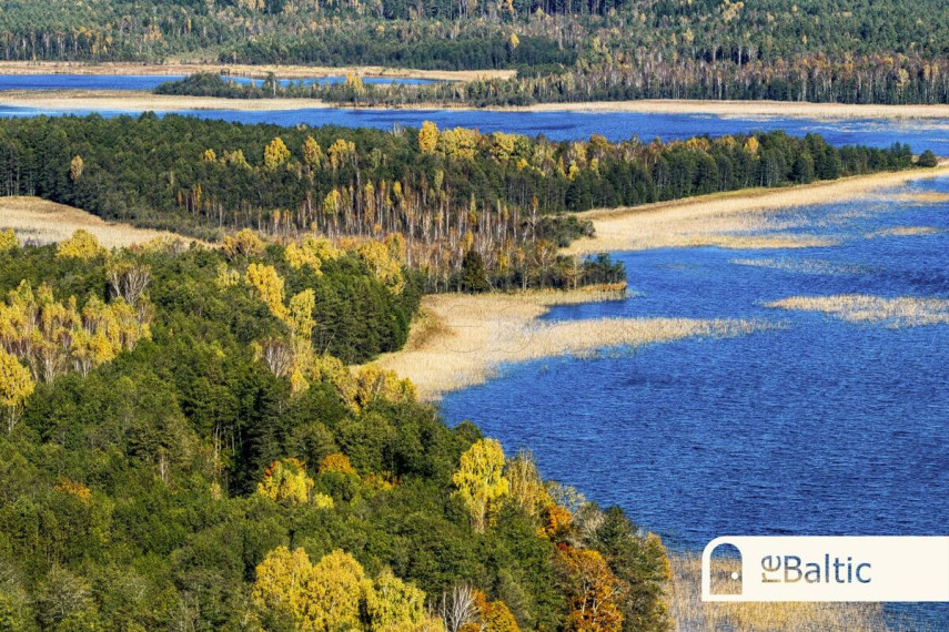 Parduodamas  sklypas Padvarnių k., Molėtų r. sav., 9795 a ploto 16