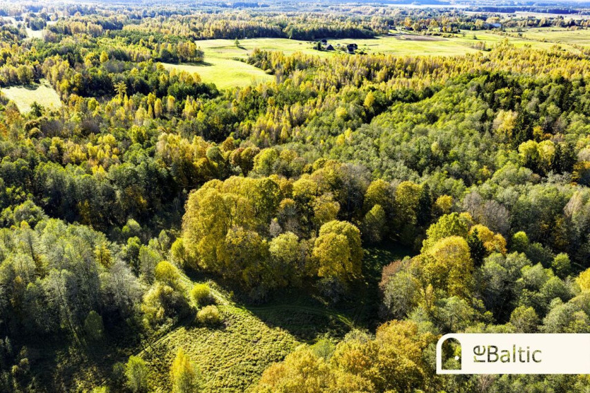 Parduodamas  sklypas Padvarnių k., Molėtų r. sav., 9795 a ploto 21
