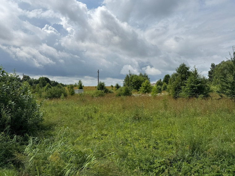 Parduodamas kitos paskirties sklypas Nemuno g., Panemuninkų k., Alytaus r. sav., 18.57 a ploto 5