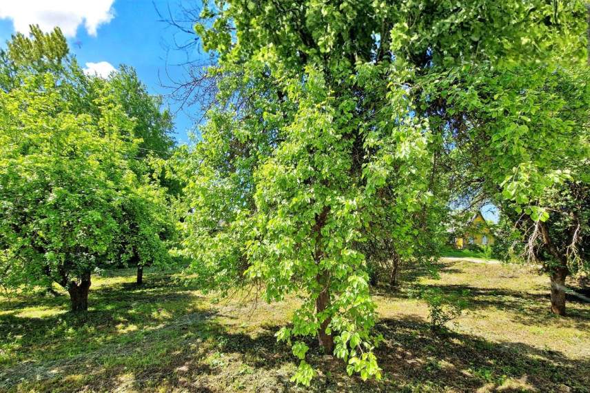 Parduodamas namas Panendrės g., Bikūnų k., Utenos r. sav., 157.09 m2 ploto, 2 aukštai 24