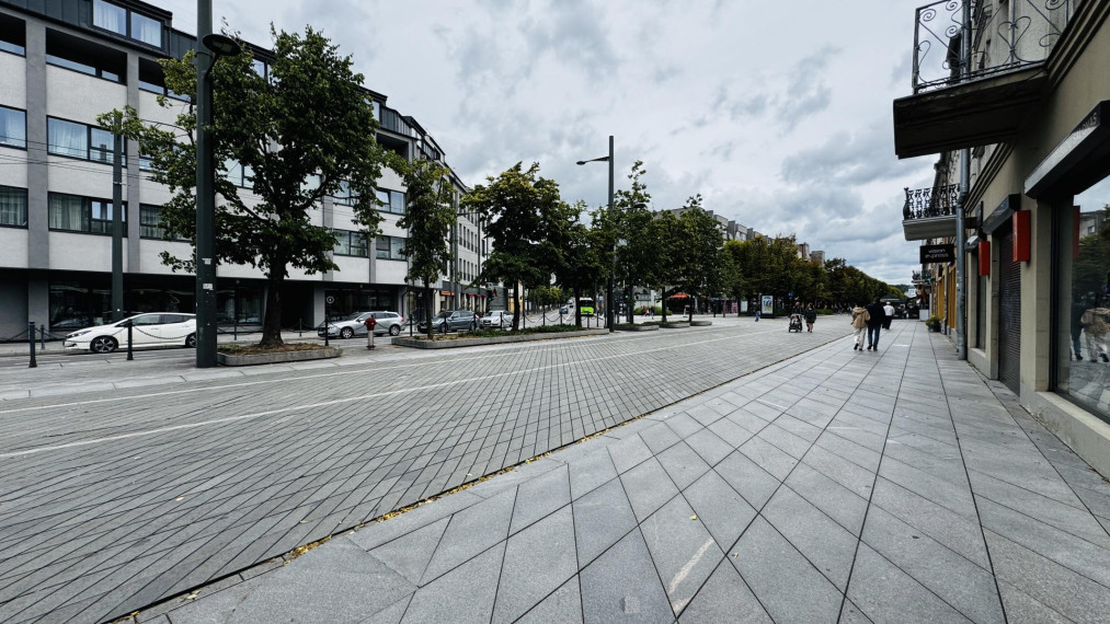 Nuomojamas butas J. Gruodžio g., Senamiestis, Kauno m., Kauno m. sav., 47.18 m² ploto 2 kambariai 19
