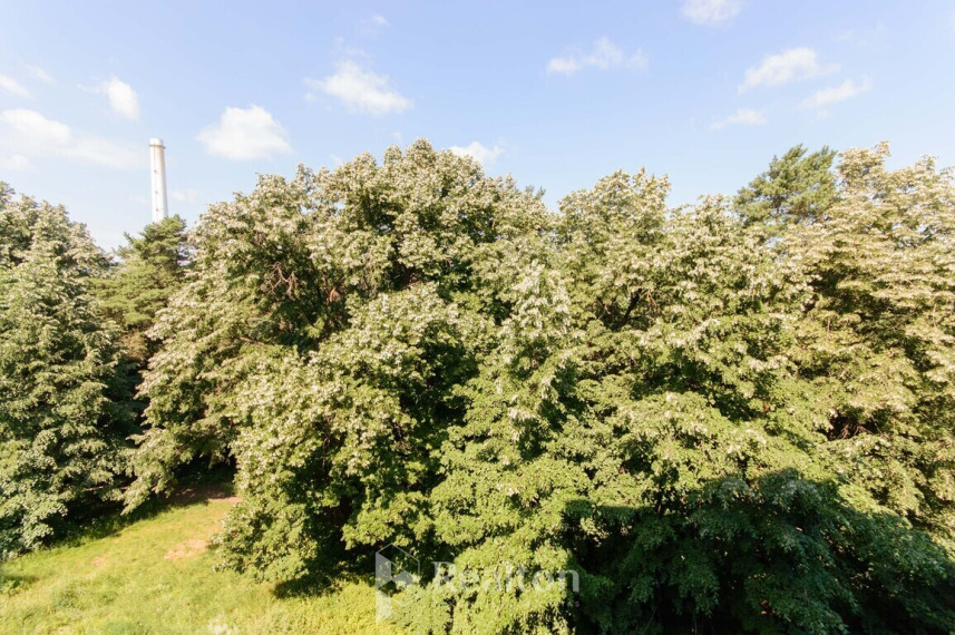Nuomojamas butas Vilkpėdės g., Naujamiestis, Vilniaus m., Vilniaus m. sav., 35 m2 ploto, 2 kambariai 10