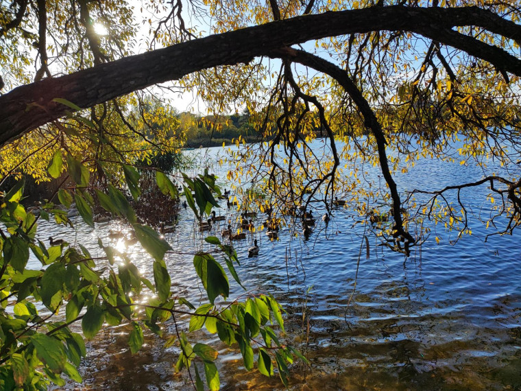 Parduodamas butas Kriaučiūnų k., Vilniaus m. sav., 107.00 m² ploto 4 kambariai 28