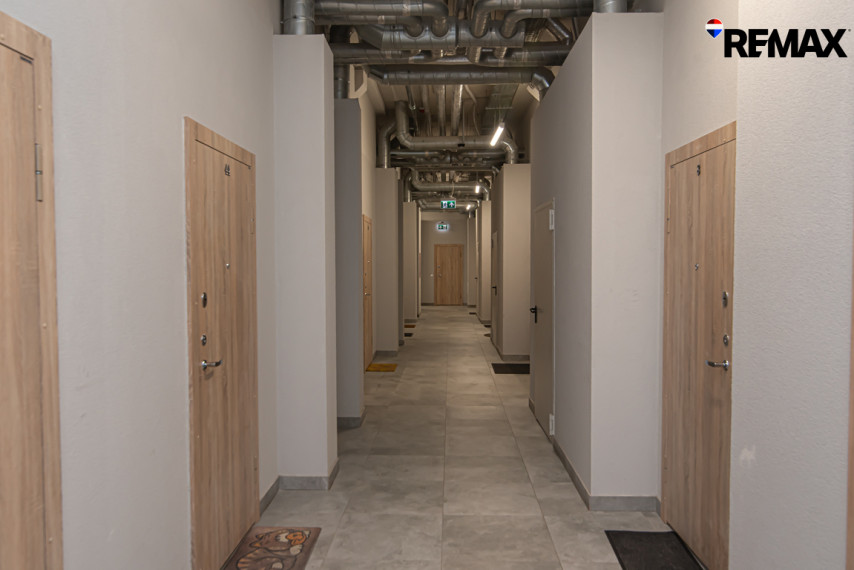 Nuomojamas butas Vilnius, 29 kv.m ploto 12