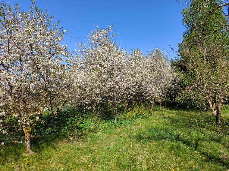 Parduodamas namas Šukionių k., Biržų r. sav., 79 m² ploto 3 kambariai 16