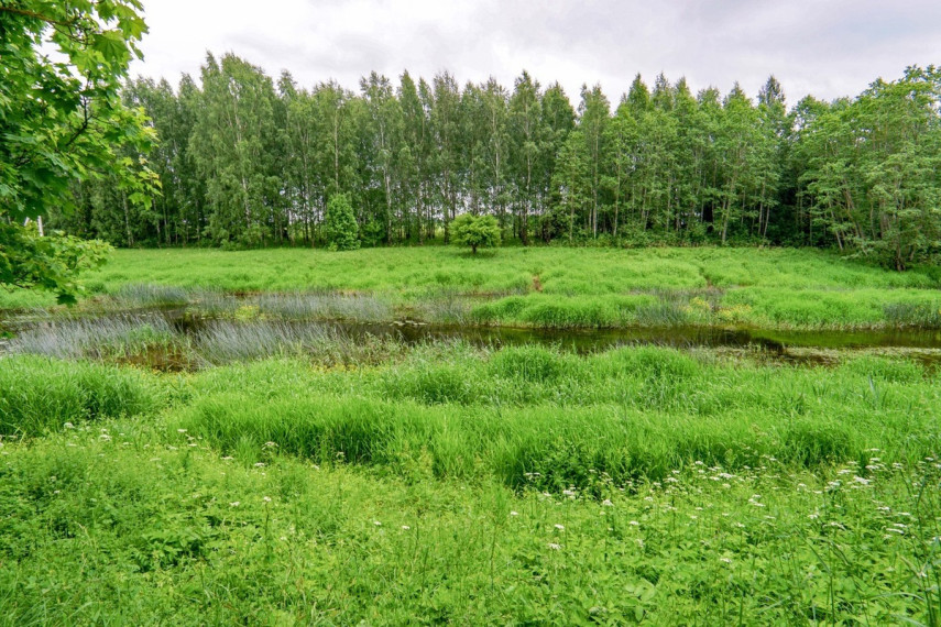 Parduodamas namas Apaščios g., Kočėnų k., Biržų r. sav., 135.75 m2 ploto, 2 aukštai 34