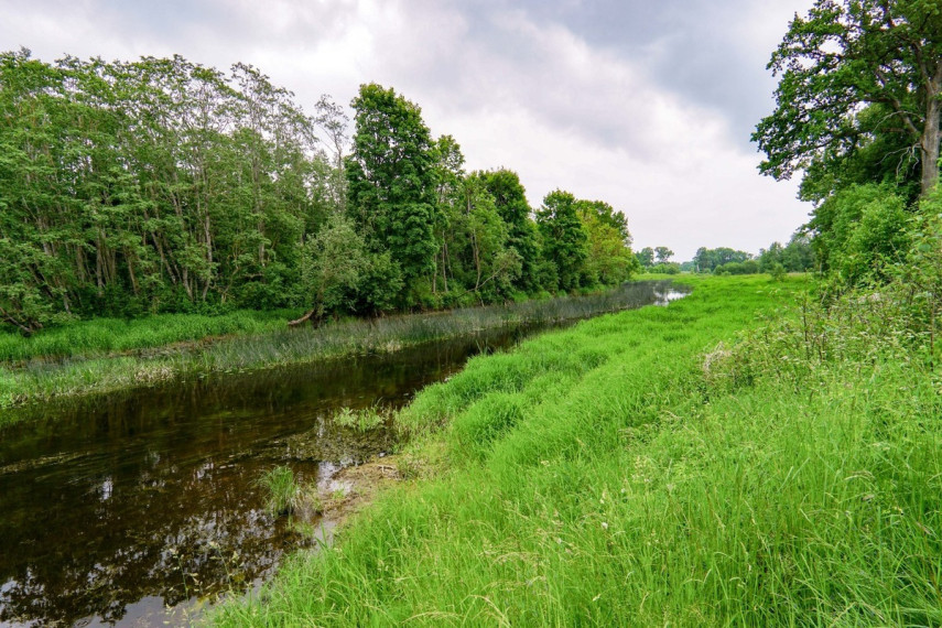 Parduodamas namas Apaščios g., Kočėnų k., Biržų r. sav., 135.75 m2 ploto, 2 aukštai 41