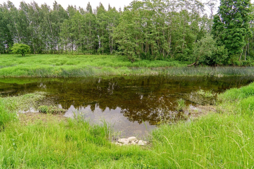 Parduodamas namas Apaščios g., Kočėnų k., Biržų r. sav., 135.75 m2 ploto, 2 aukštai 42