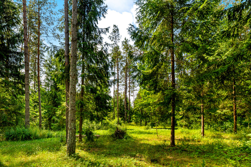 Parduodamas namas Vilniaus r. sav., Raudondvario k., Beržyno, 212.26 m2 ploto, 1 aukštai 36