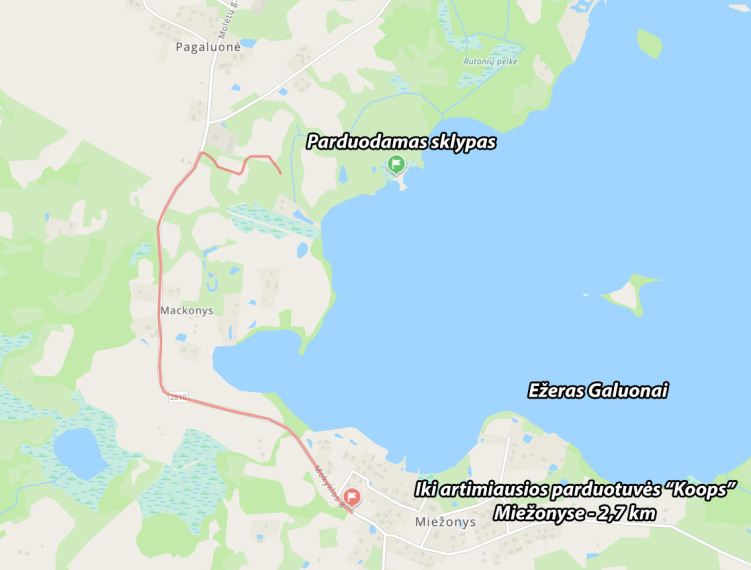 Parduodamas kitos paskirties sklypas Žilvičių g., Pagaluonės k., Molėtų r. sav., 39.91 a ploto 19