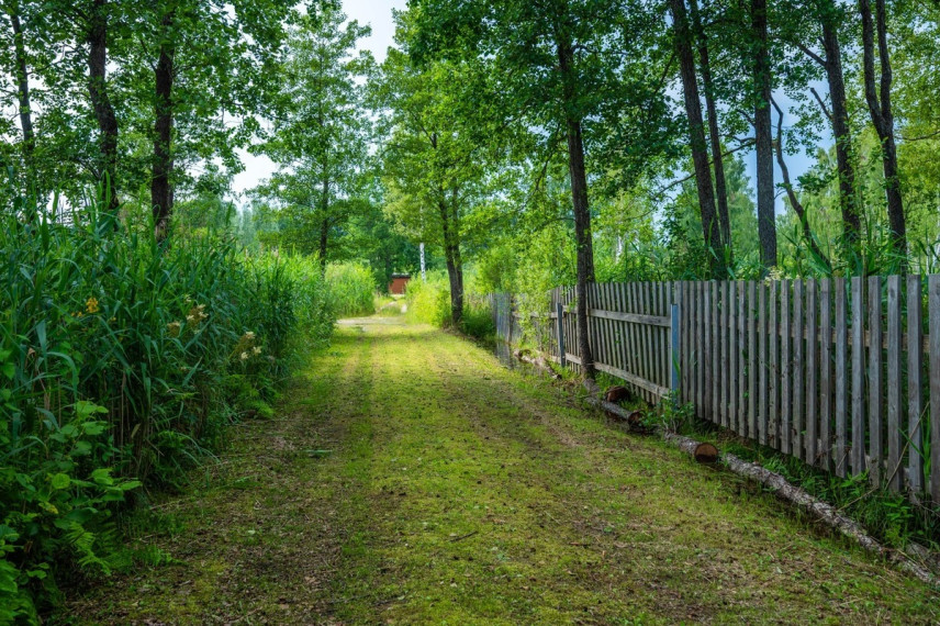 Parduodamas kitos paskirties sklypas Žilvičių g., Pagaluonės k., Molėtų r. sav., 39.91 a ploto 11