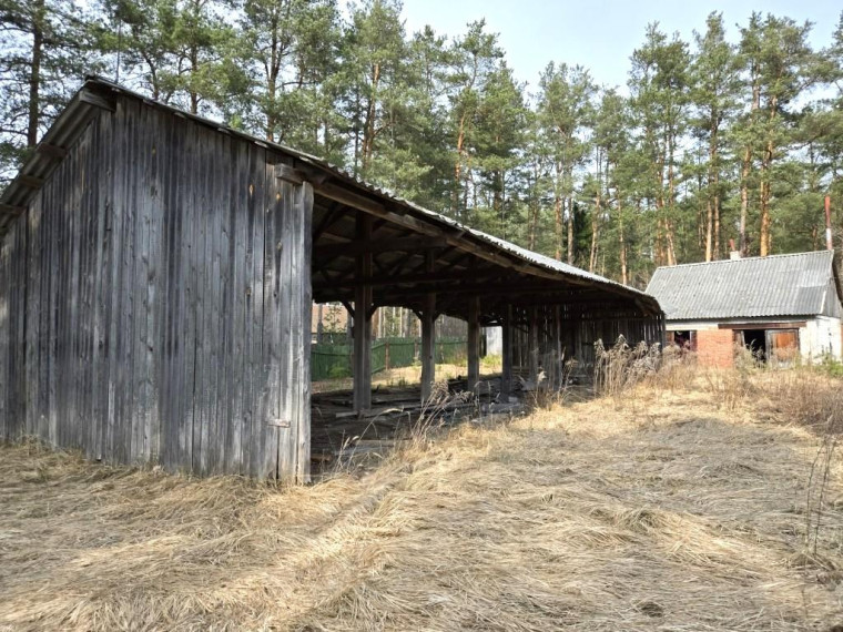 Parduodamos patalpos Pušų g., Ignalinos m., Ignalinos r. sav., 1368.94 m² ploto 4