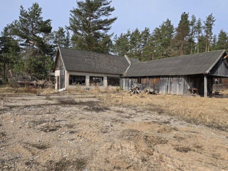 Parduodamos patalpos Pušų g., Ignalinos m., Ignalinos r. sav., 1368.94 m² ploto 6