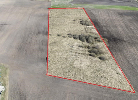 Parduodamas sklypas Šakinių k., Klaipėdos r. sav., 324 a ploto Parduodamas sklypas Šakinių k., Klaipėdos r. sav., 324 a ploto