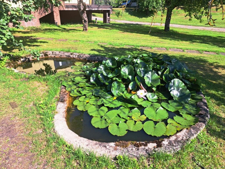 Parduodamas namas Suginčių k., Molėtų r. sav., 171.25 m² ploto 5 kambariai 22