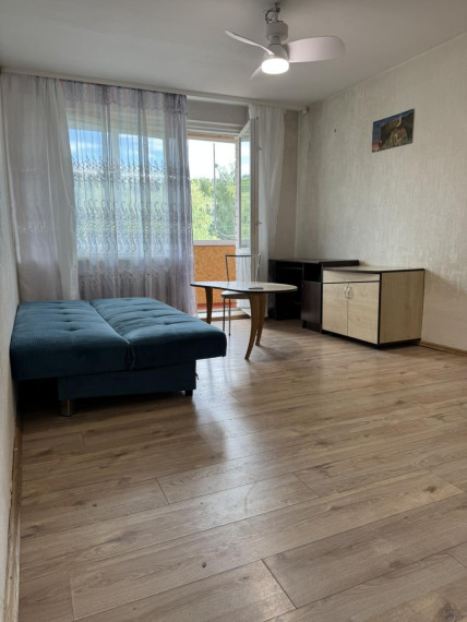Nuomojamas butas Plento g., Panemunė, Kauno m., Kauno m. sav., 35 m² ploto 1 kambarys 6