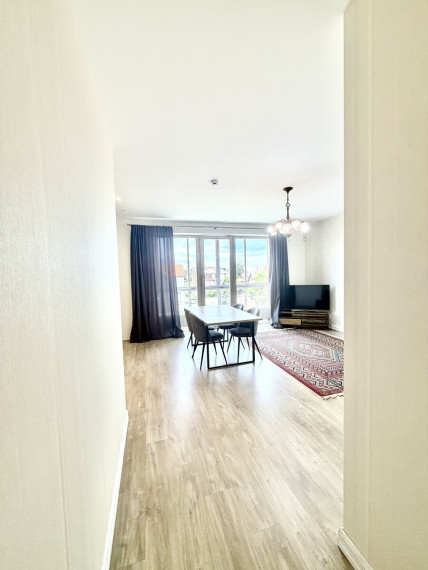 Parduodamas butas Klaipėdos apskritis, Klaipėda, Miško, Smilgų g., 50 m2 ploto, 2 kambariai 1