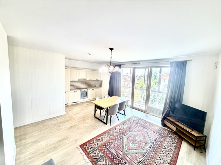 Parduodamas butas Klaipėdos apskritis, Klaipėda, Miško, Smilgų g., 50 m2 ploto, 2 kambariai 2