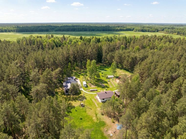 Parduodamas namas Stirnų g., Plytinės k., Šalčininkų r. sav., 200 m2 ploto, 1 aukštai 6