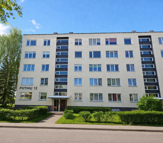Nuomojamas butas Putinų g., Putinų, Alytaus m., Alytaus m. sav., 47 m² ploto 2 kambariai 11