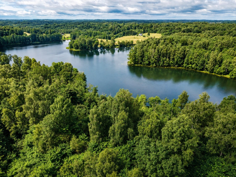 Parduodamas  sklypas Zaberžos k., Molėtų r. sav., 97 a ploto 2