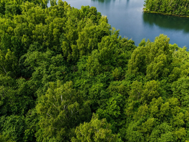 Parduodamas  sklypas Zaberžos k., Molėtų r. sav., 97 a ploto 3