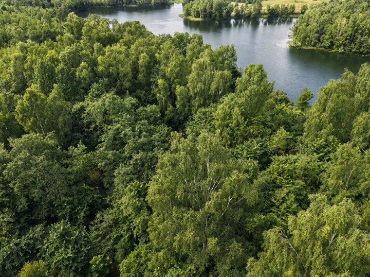 Parduodamas  sklypas Zaberžos k., Molėtų r. sav., 97 a ploto 4