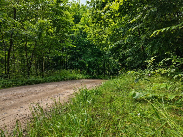 Parduodamas  sklypas Zaberžos k., Molėtų r. sav., 97 a ploto 6