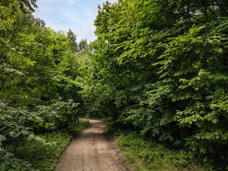 Parduodamas  sklypas Zaberžos k., Molėtų r. sav., 97 a ploto 7