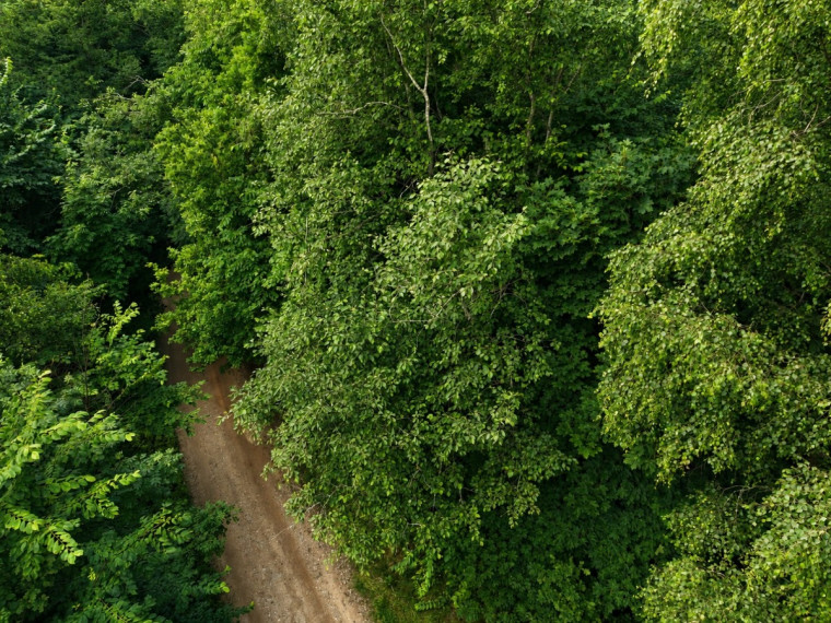 Parduodamas  sklypas Zaberžos k., Molėtų r. sav., 97 a ploto 9
